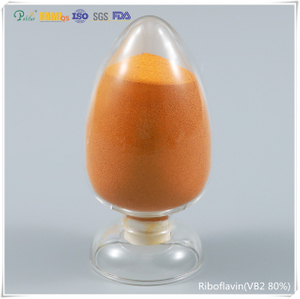 Kvalitní riboflavin CAS 83-88-5 (vitamin B2) 