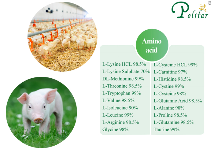 Jaké typy aminokyselin jsou obsaženy v doplňkových látkách?-Polifar