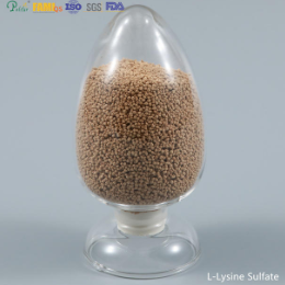 Jaký je rozsah použití hydrochloridu L lysinu?