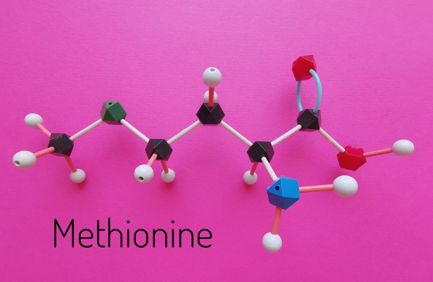Vztah mezi methioninem, cholinem a betainem ve výživě drůbeže
