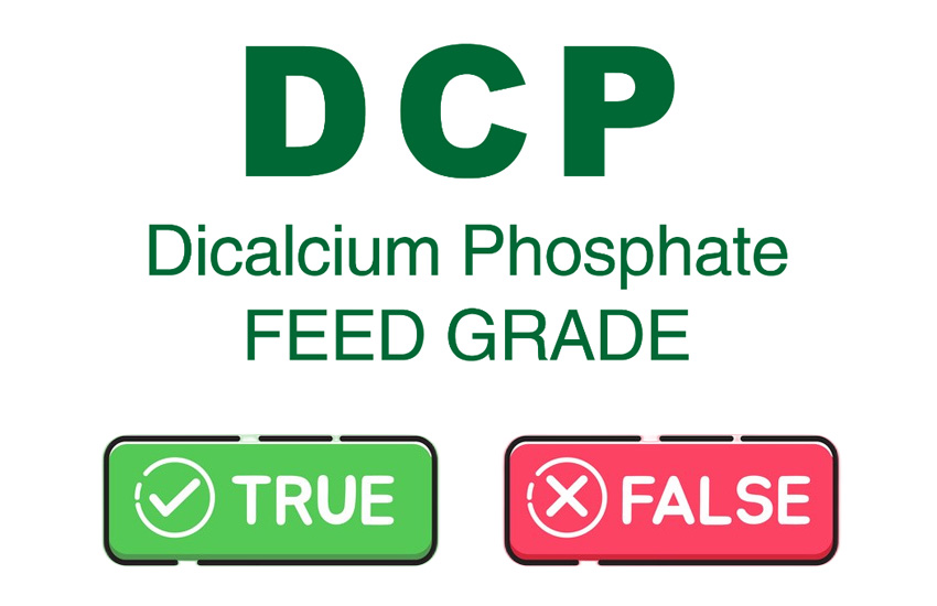 Metoda identifikace krmného fosforečnanu vápenatého