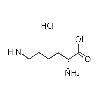 Struktura L lysin hydrochloridu